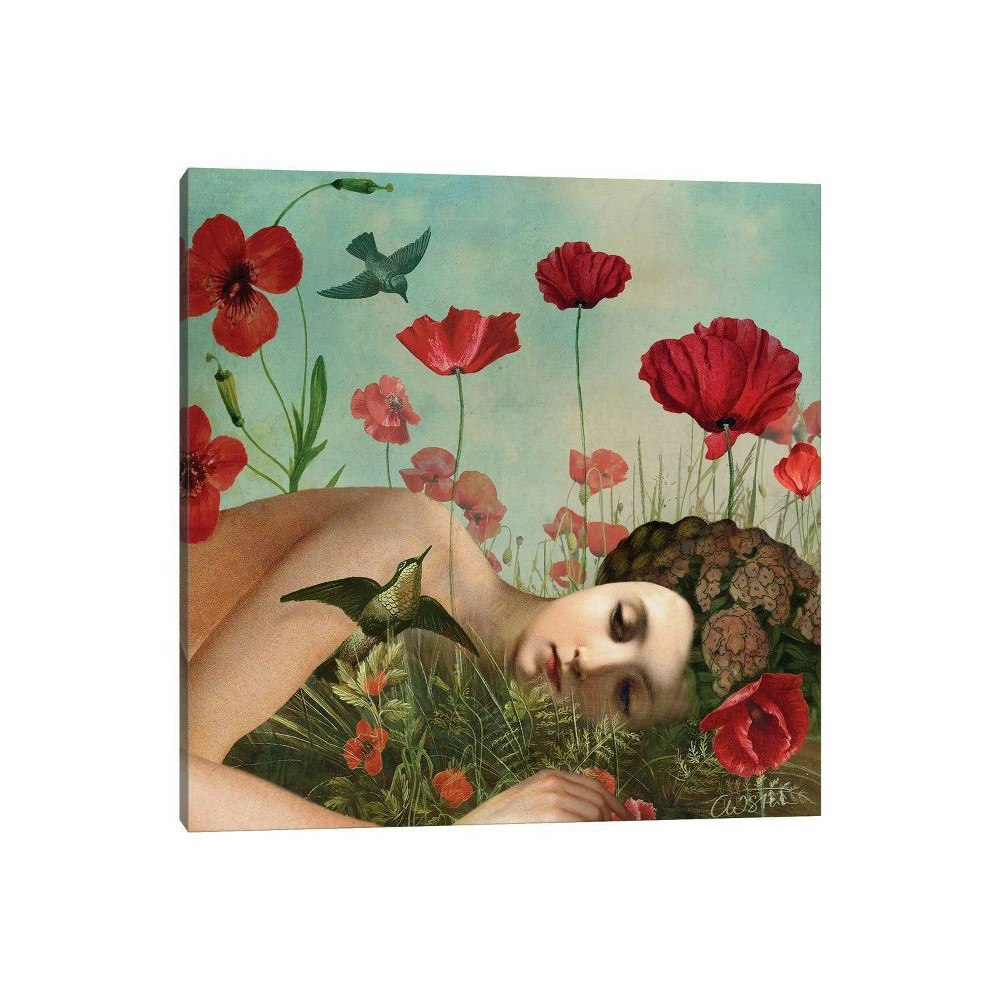 18" x 18" In The Poppy Field by Catrin WelzStein Canvas Wall Art: $49.99 18" x 18" In The Poppy Field by Catrin WelzStein Canvas Wall Art: $49.99