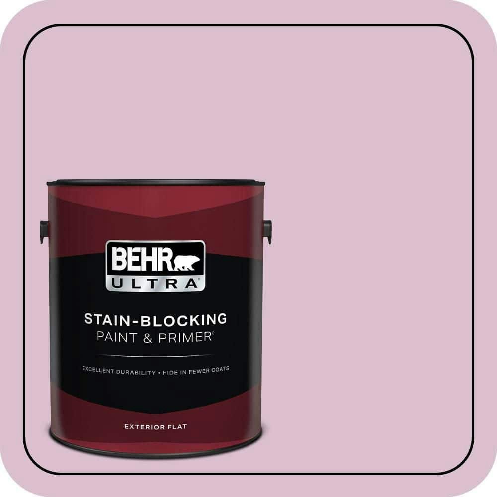 Delicate Bloom Flat Exterior Paint and Primer 1-Gallon: $57.98 Delicate Bloom Flat Exterior Paint and Primer 1-Gallon: $57.98