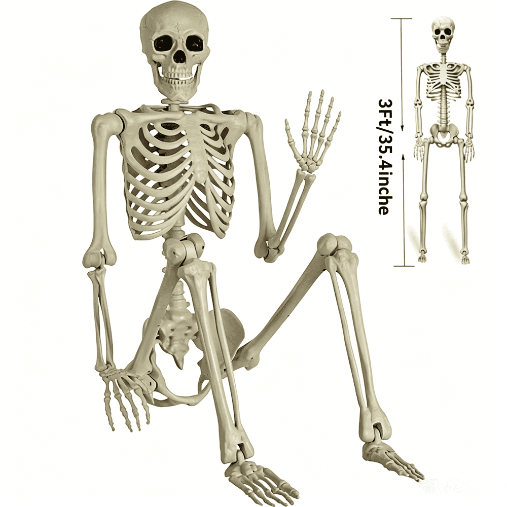 35-Inch Halloween Skeleton Decoration: $16.69 35-Inch Halloween Skeleton Decoration: $16.69