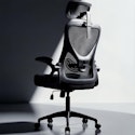 Ergoreal Ergonomic Mesh-Back Office Chair for $49 + free shipping