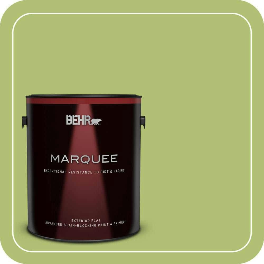 Home Decorators Collection Lavish Lime Flat Exterior Paint & Primer 1-Gallon: $67.98 Home Decorators Collection Lavish Lime Flat Exterior Paint & Primer 1-Gallon: $67.98