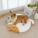 Home Essentials, Pets & Travel Sale at Woot: Up to 81% off + free shipping w/ Prime