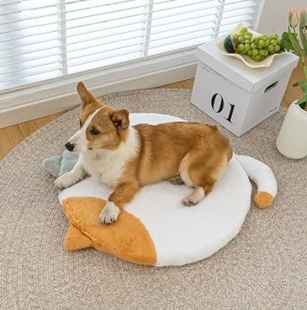 Home Essentials, Pets & Travel Sale at Woot: Up to 81% off