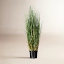 Sand & Stable Kellan Artificial Potted Green Curled Grass for From $28 + free shipping w/ $35
