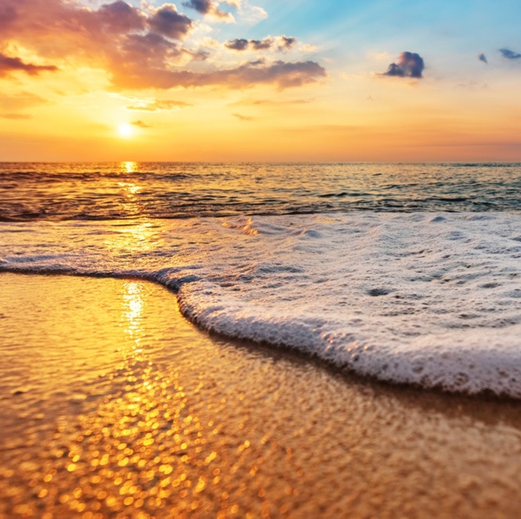 Daytona Beach Hotel and Experience Deals: Up to 20% off