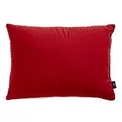 Quest Camp Pillow at Dick's Sporting Goods: $15