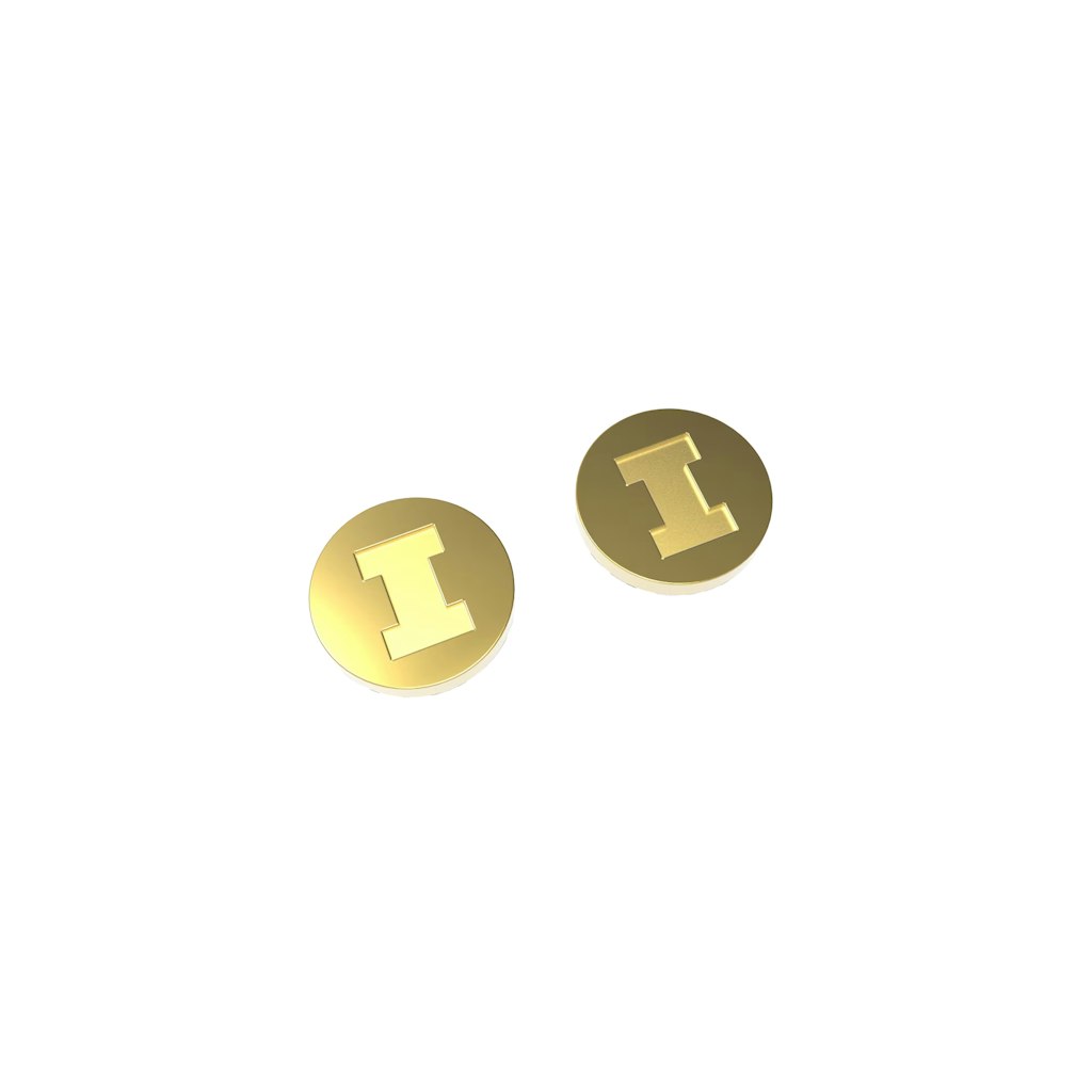 Illinois Fighting Illini Stainless Steel Stud Earrings: $35.99 Illinois Fighting Illini Stainless Steel Stud Earrings: $35.99