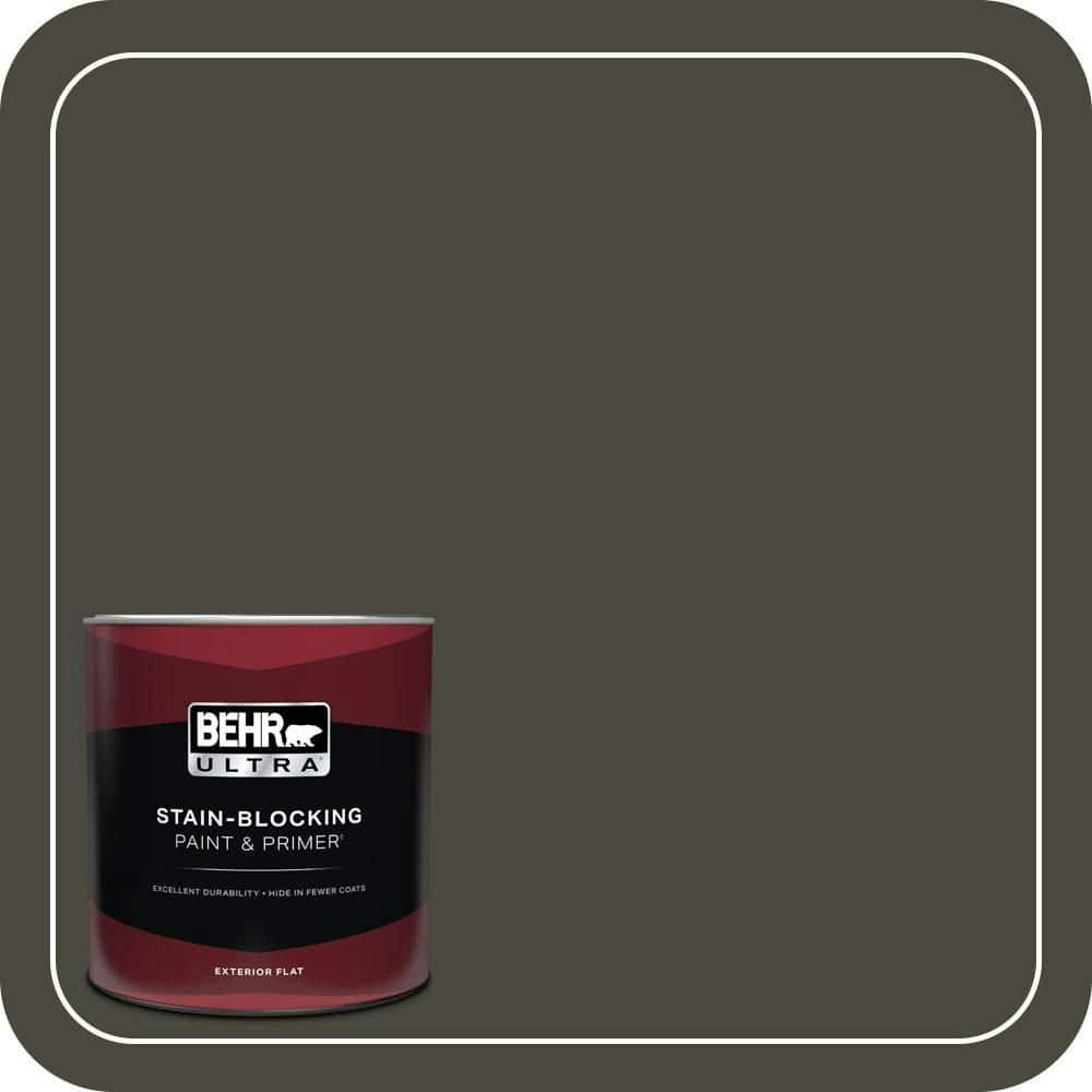 Unplugged Flat Exterior Paint and Primer 1-Quart: $28.98