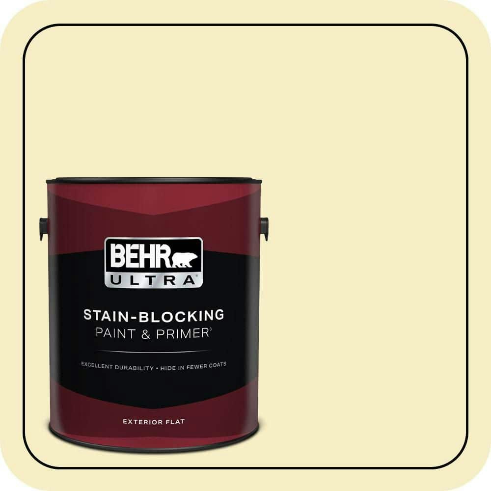 Garlic Clove Flat Exterior Paint & Primer 1-Gallon: $57.98