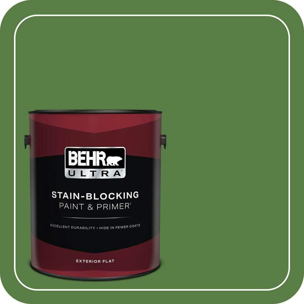 Behr #S-H-430 Mossy Green 1-Gallon Flat Exterior Paint and Primer: $57.98 Behr #S-H-430 Mossy Green 1-Gallon Flat Exterior Paint and Primer: $57.98