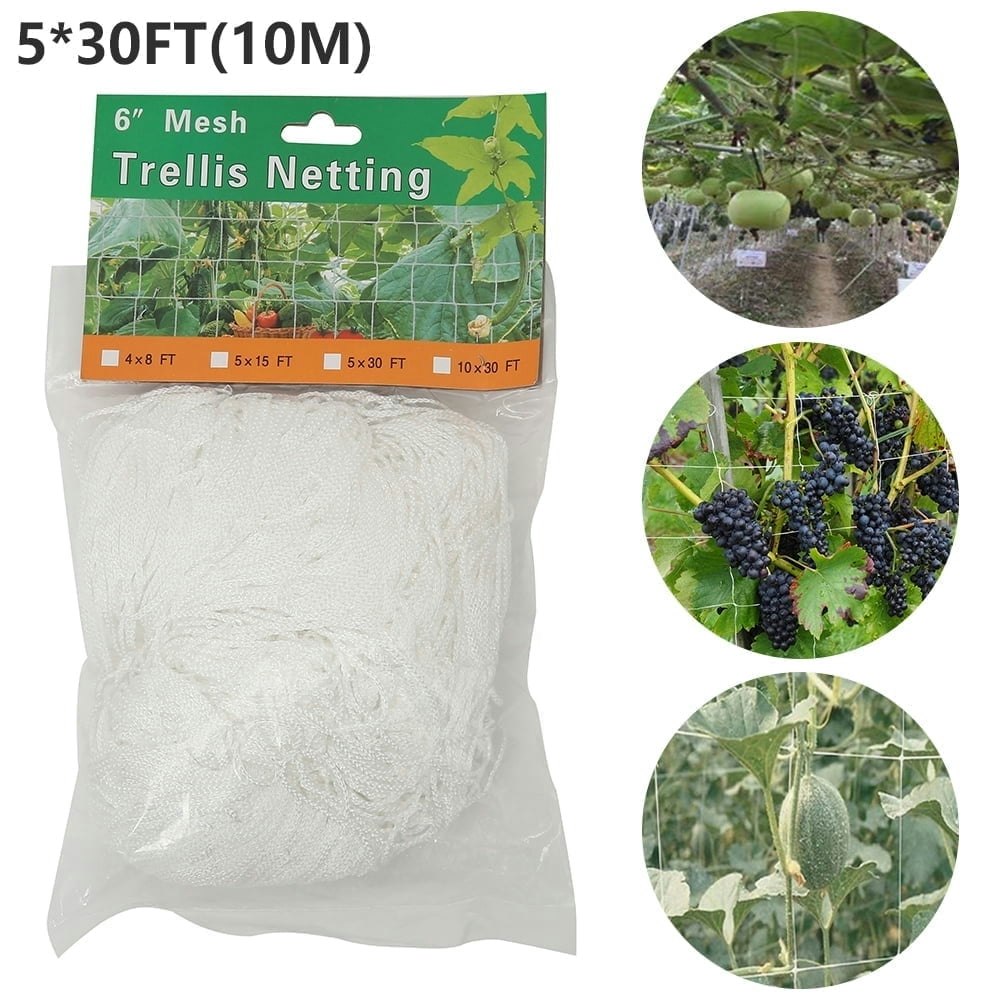 Tcwhniev 5.9-Inch Mesh Trellis Netting 30-Foot Plant Support: $10 Tcwhniev 5.9-Inch Mesh Trellis Netting 30-Foot Plant Support: $10