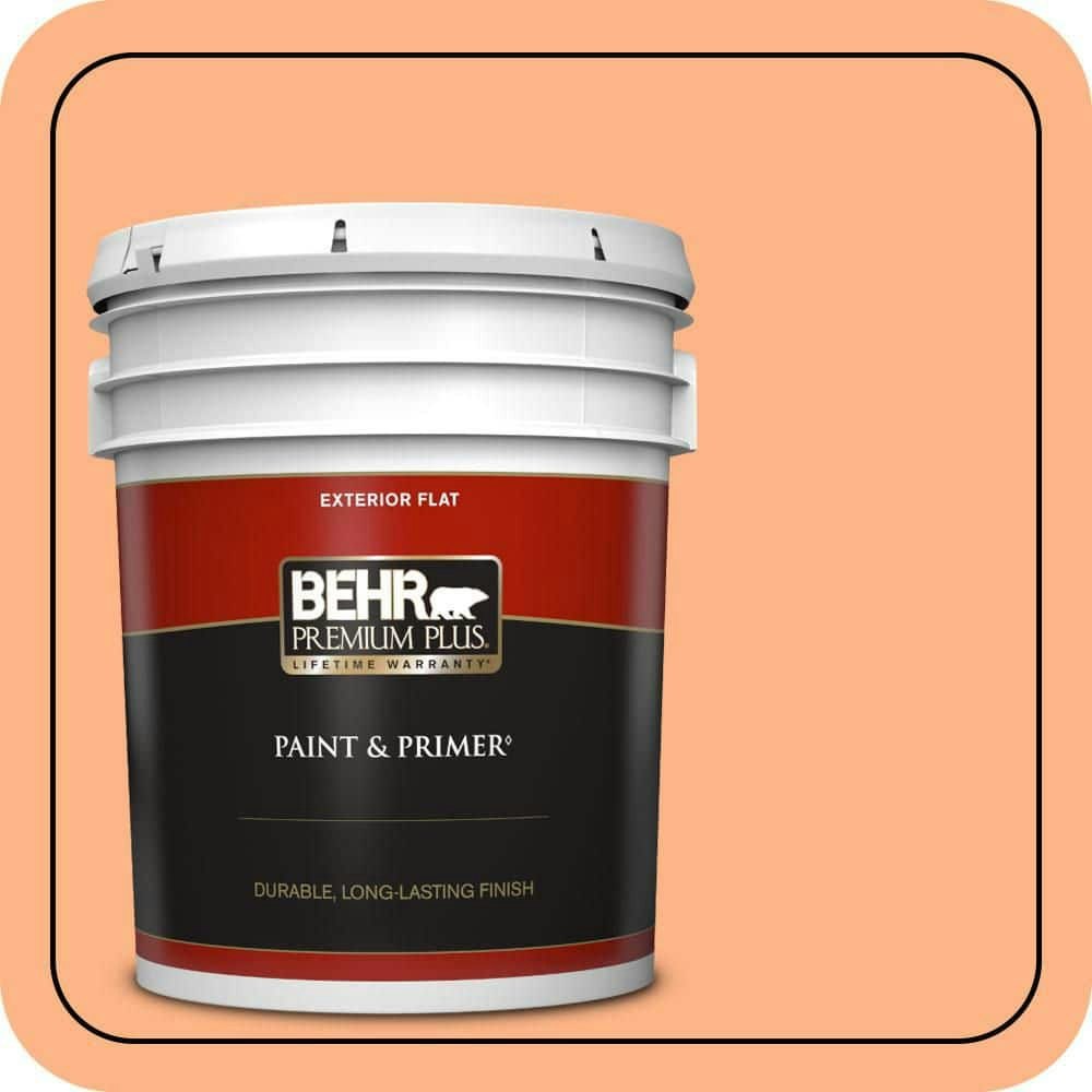 Behr Premium Plus 5-Gallon Lollipop Flat Exterior Paint and Primer: $215