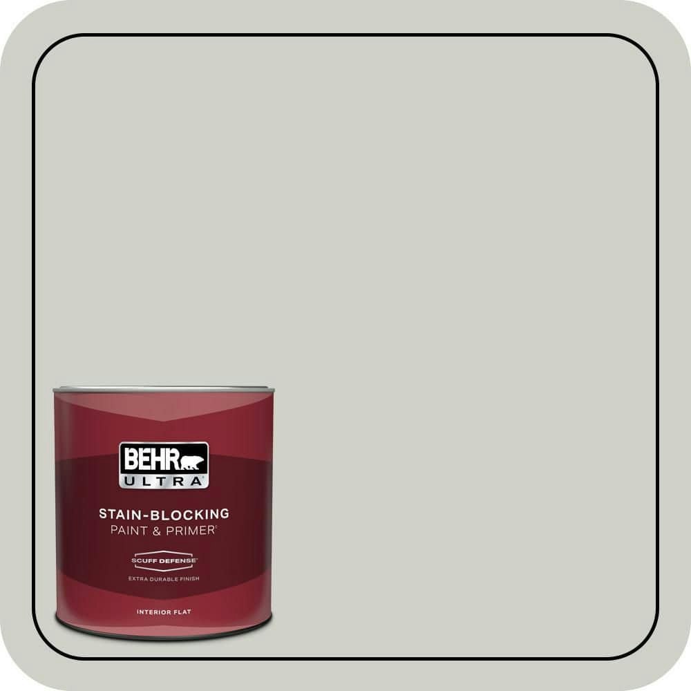 Home Decorators Collection Polar Fox Flat Interior Paint & Primer 1-Quart Can: $21.98 Home Decorators Collection Polar Fox Flat Interior Paint & Primer 1-Quart Can: $21.98