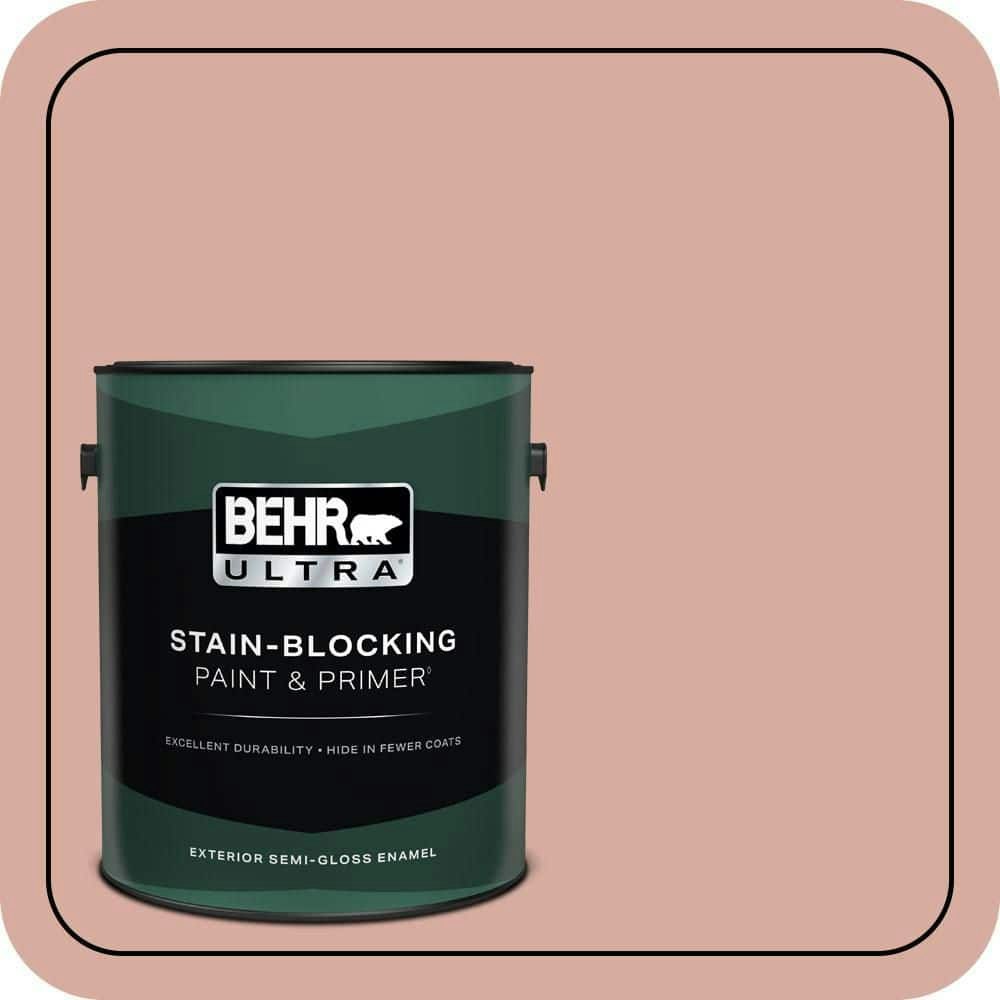 Everythings Rosy Semi-Gloss Exterior Paint and Primer 1-Gallon: $61.98 Everythings Rosy Semi-Gloss Exterior Paint and Primer 1-Gallon: $61.98