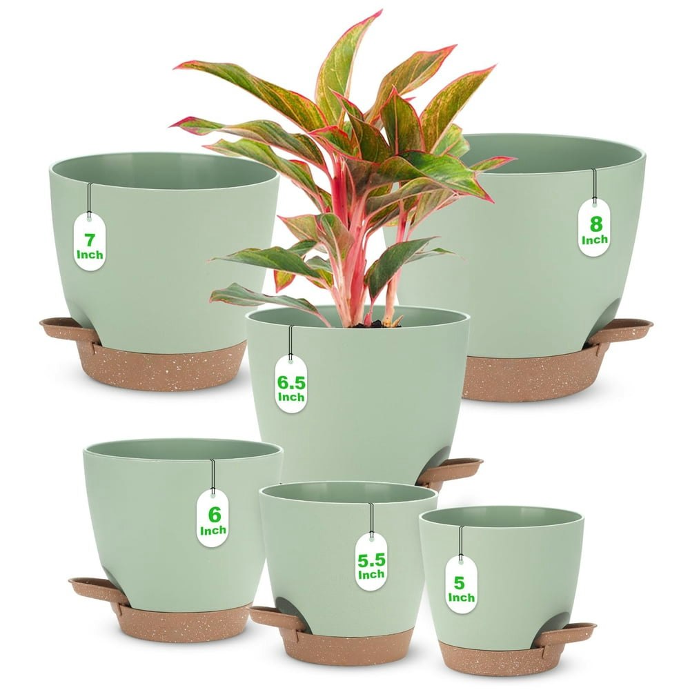 Tijity Self-Watering Planter 6-Pack: $16.99 Tijity Self-Watering Planter 6-Pack: $16.99