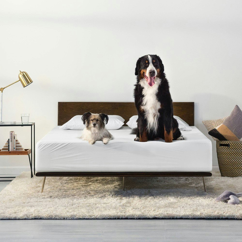 Tuft & Needle California King Machine Washable Waterproof Mattress Protector: $110