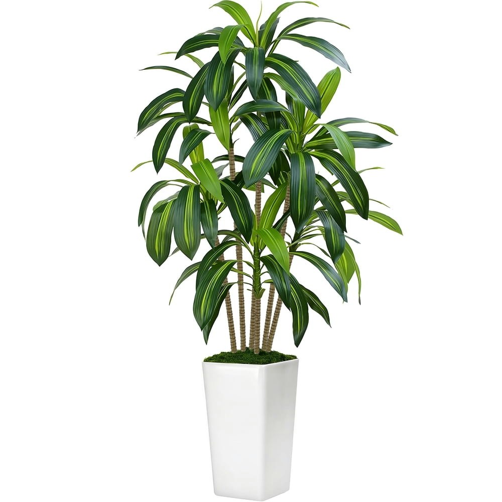CandWuom 5-Foot Artificial Dracaena Tree in Planter: $63.99 CandWuom 5-Foot Artificial Dracaena Tree in Planter: $63.99