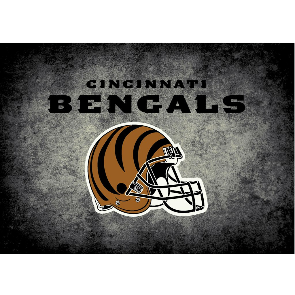 Cincinnati Bengals 3'10" x 5'4" Distressed Area Rug: $199.99