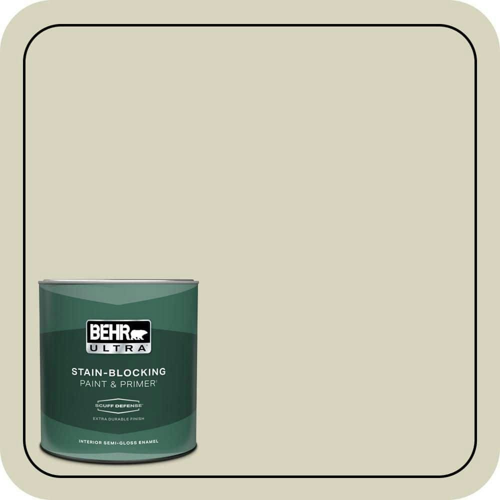 Pale Lichen Extra Durable Interior Semi-Gloss Enamel Paint and Primer 1-Quart: $24.98 Pale Lichen Extra Durable Interior Semi-Gloss Enamel Paint and Primer 1-Quart: $24.98