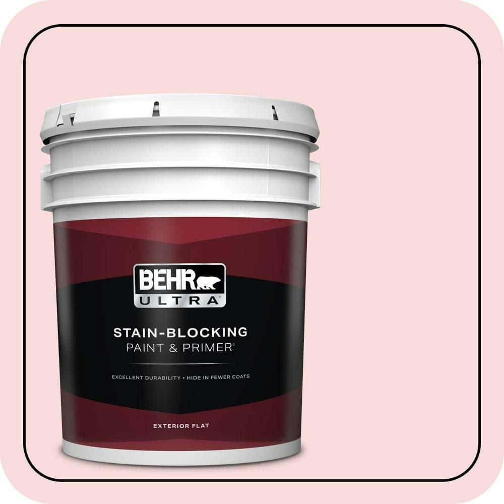 Powdered Blush Flat Exterior Paint & Primer 5-Gallon: $273 Powdered Blush Flat Exterior Paint & Primer 5-Gallon: $273