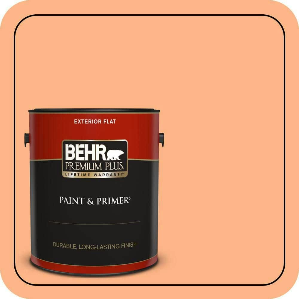 Behr Premium Plus Flat Exterior Paint and Primer 1-Gallon: $47.98 Behr Premium Plus Flat Exterior Paint and Primer 1-Gallon: $47.98