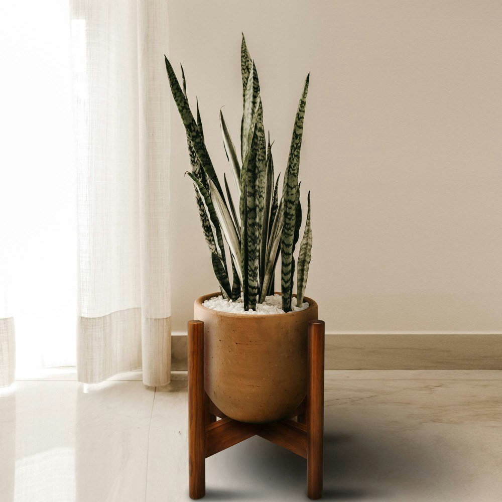 Flora Home 12-Inch Antique Mahogany Wooden Plant Stand: $19.99 Flora Home 12-Inch Antique Mahogany Wooden Plant Stand: $19.99