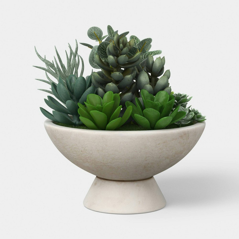 Threshold Succulent Bowl: $18