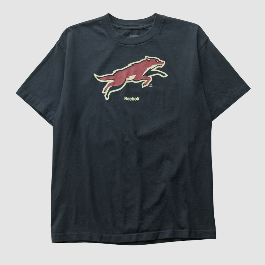 Arizona Coyotes Reebok 2000s T-Shirt: $34.99 Arizona Coyotes Reebok 2000s T-Shirt: $34.99