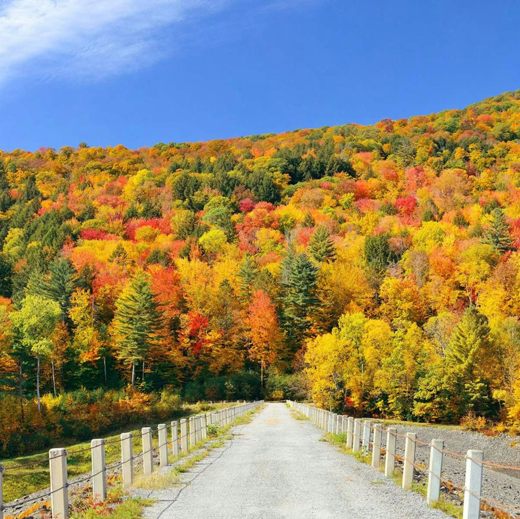8-Night New England Fall Foliage Hotel and Tour Vacation: From $10,838 for 2 8-Night New England Fall Foliage Hotel and Tour Vacation: From $10,838 for 2