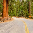 9-Night Pacific Coast Adventure Flight, Hotel, and Tour Vacation for From $8,038 for 2