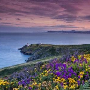 15-Night Ireland Hotel and Tour Vacation: From $5,770 per person 15-Night Ireland Hotel and Tour Vacation: From $5,770 per person