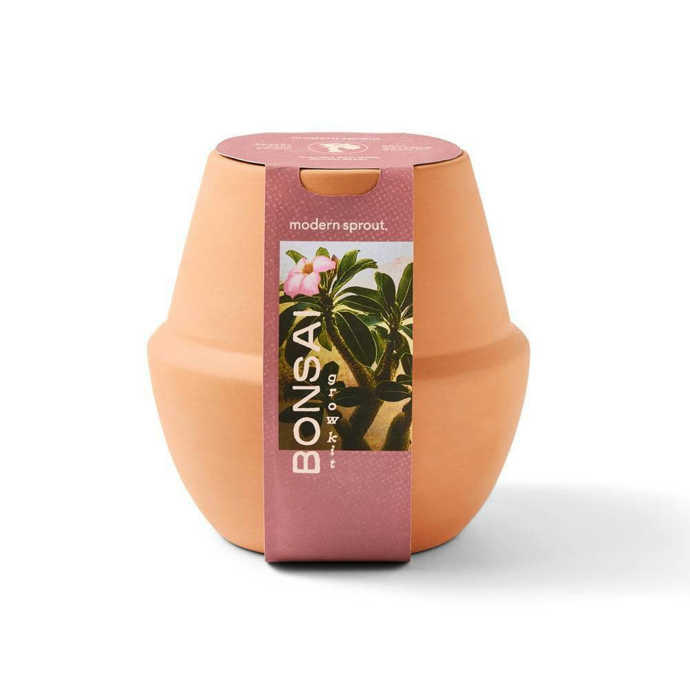 Modern Sprout Miniature Bonsai Tree Kit: $25.99 Modern Sprout Miniature Bonsai Tree Kit: $25.99