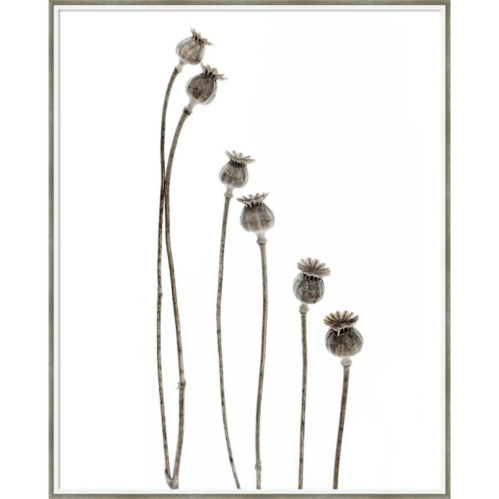 33" x 41" Last Years Flowering Poppies by Lotte Gronkjar Wood Framed Wall Art Print: $615.99 33" x 41" Last Years Flowering Poppies by Lotte Gronkjar Wood Framed Wall Art Print: $615.99