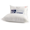 The Big One Microfiber Pillow for $3 + shipping varies