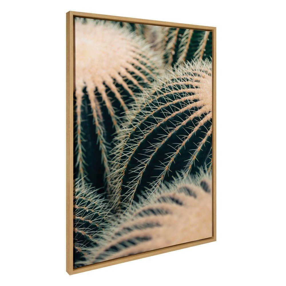 Kate & Laurel Sylvie Barrel Cactus 28\"x38\" Framed Wall Art: $109.99 Kate & Laurel Sylvie Barrel Cactus 28\"x38\" Framed Wall Art: $109.99