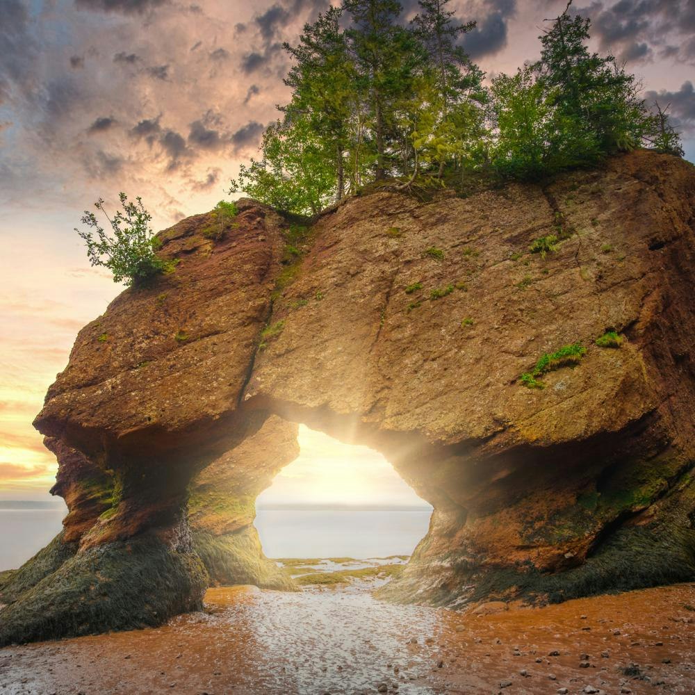 Norwegian Cruise Line 7-Night Canada & New England Cruise: From $1,478 for 2