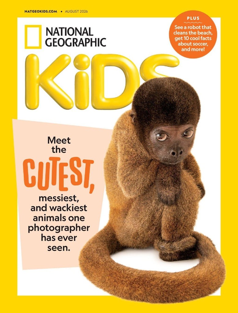 DiscountMags Kids' Sale Subscriptions : from $11.50/year 