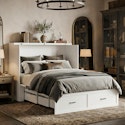 Red Barrel Studio Ibaka Murphy Storage Bed for $284 + free shipping