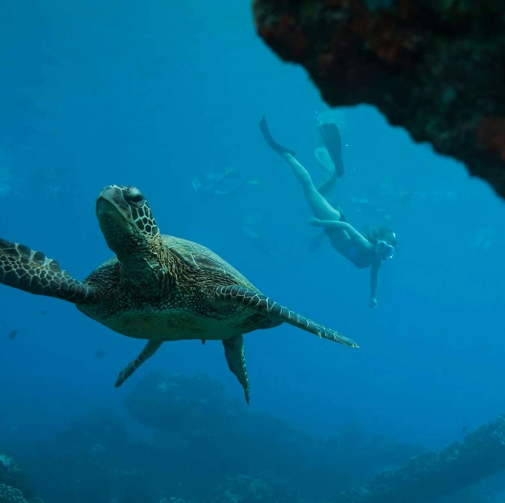 UnCruise 7-Night Hawaiian Seascapes Cruise: From $17,400 for 2