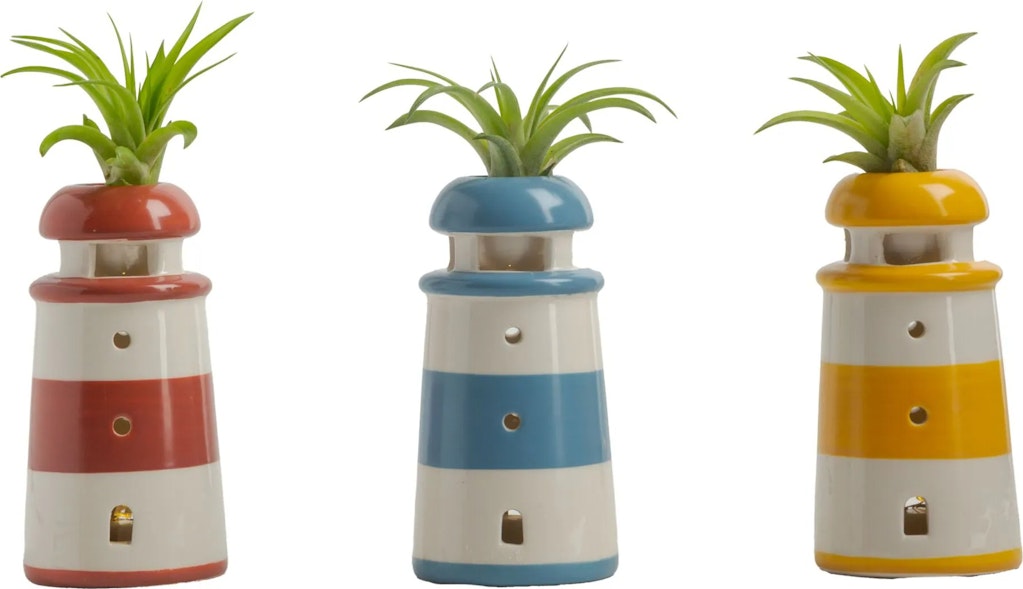 Lowe's Live Plants: From $23