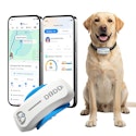 DBDD AI GPS Dog Tracker for $14.50 + free shipping w/ Prime