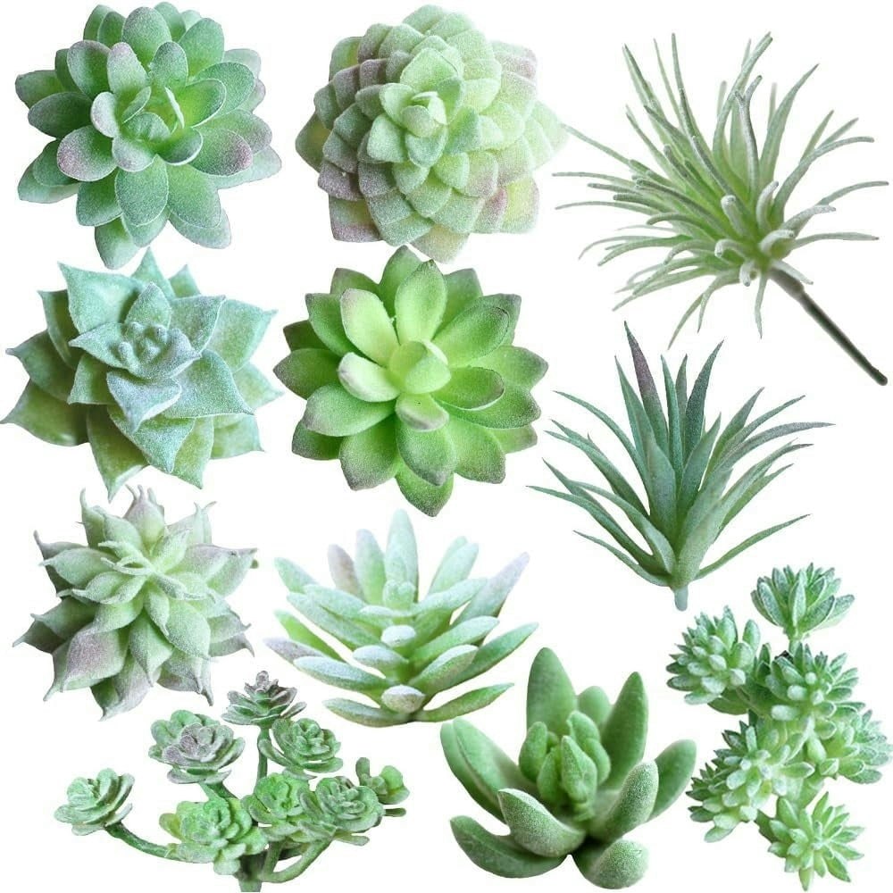 Tetou 11-Piece Mini Artificial Succulent Assortment: $12.83 Tetou 11-Piece Mini Artificial Succulent Assortment: $12.83