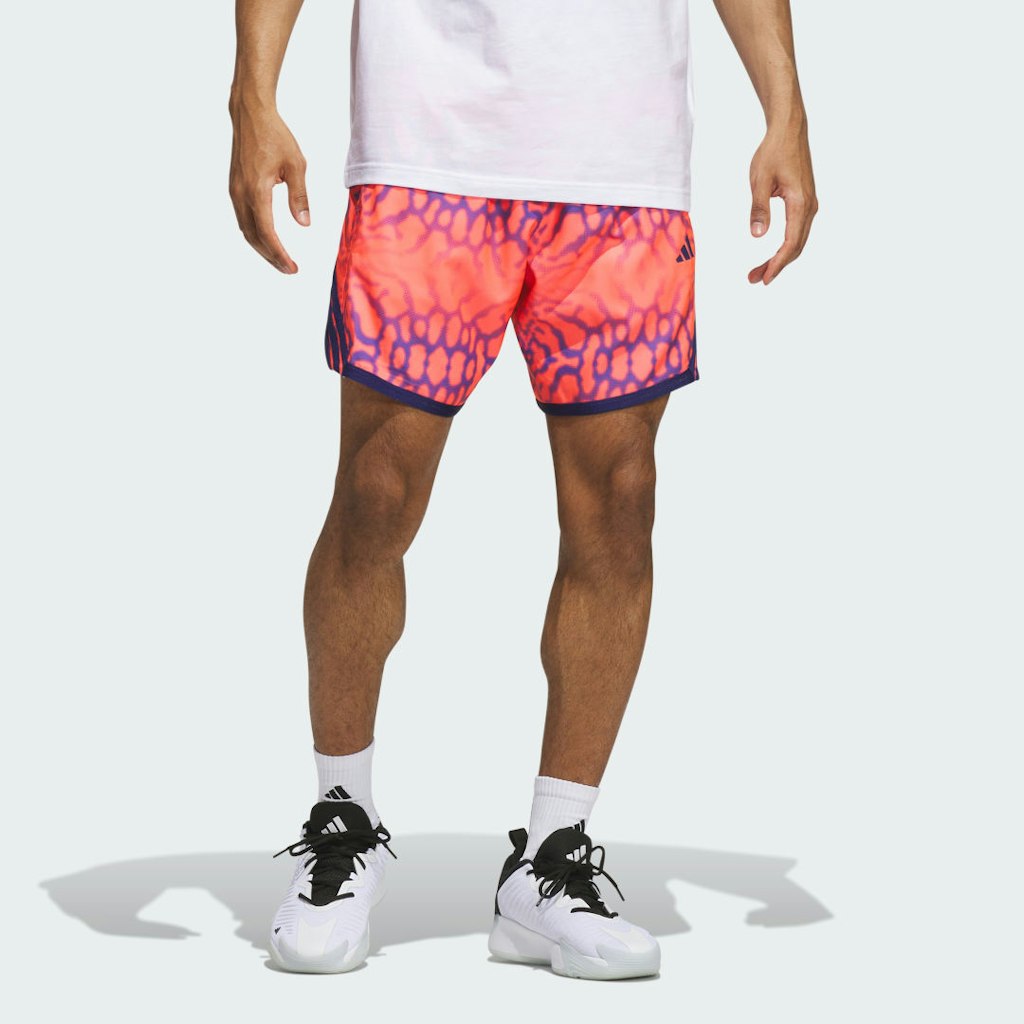 Crazylite Graphic Shorts: $50