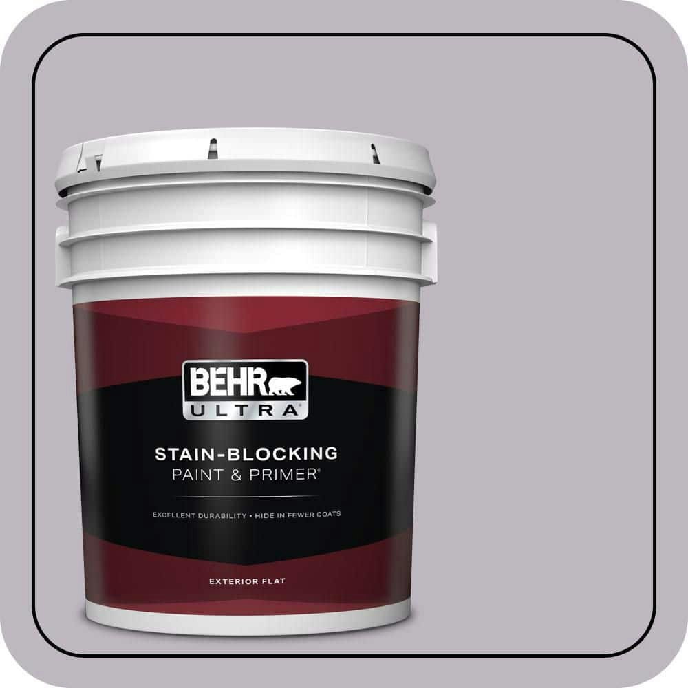 Aster Flat Exterior Paint and Primer 5-Gallon: $273