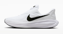 Nike Men's Revolution 8 EasyOn Road Running Shoes for $56 + shipping varies