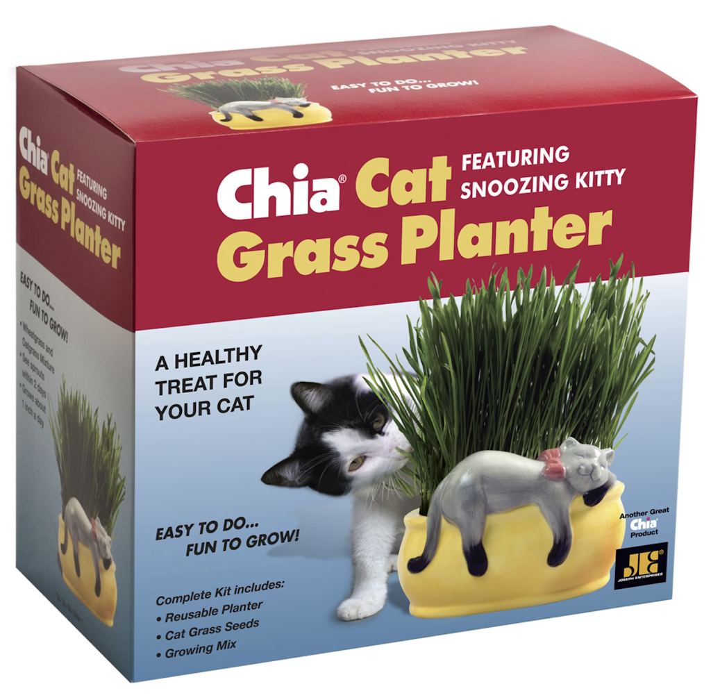 Chia Snoozing Kitty Cat Grass Planter: $11