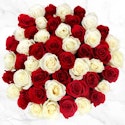 50-Stem Red & White Roses for $50 + free shipping