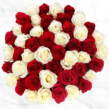 50-Stem Red & White Roses: $50