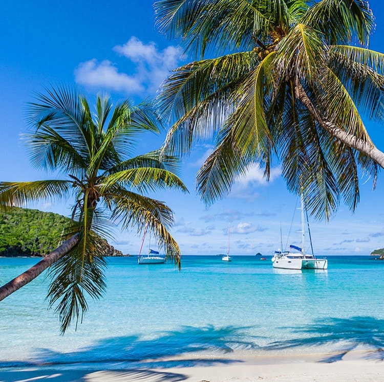 Windstar 7-Night Windward Islands Cruise: From $5,382 for 2