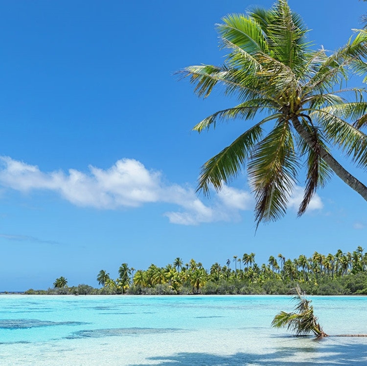 Windstar 11-Night French Polynesia & Marquesas Cruise: From $12,244 for 2